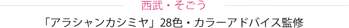 西武・そごう「アラシャンカシミヤ」28色・カラーアドバイス監修