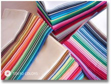 ニコンメガネレンズ70周年記念コンベンション「人の印象は色(カラー)で決まる」