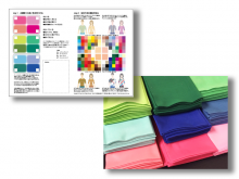 大手IT企業における 「色彩心理＆パーソナルカラー（社内研修・カラー担当）」